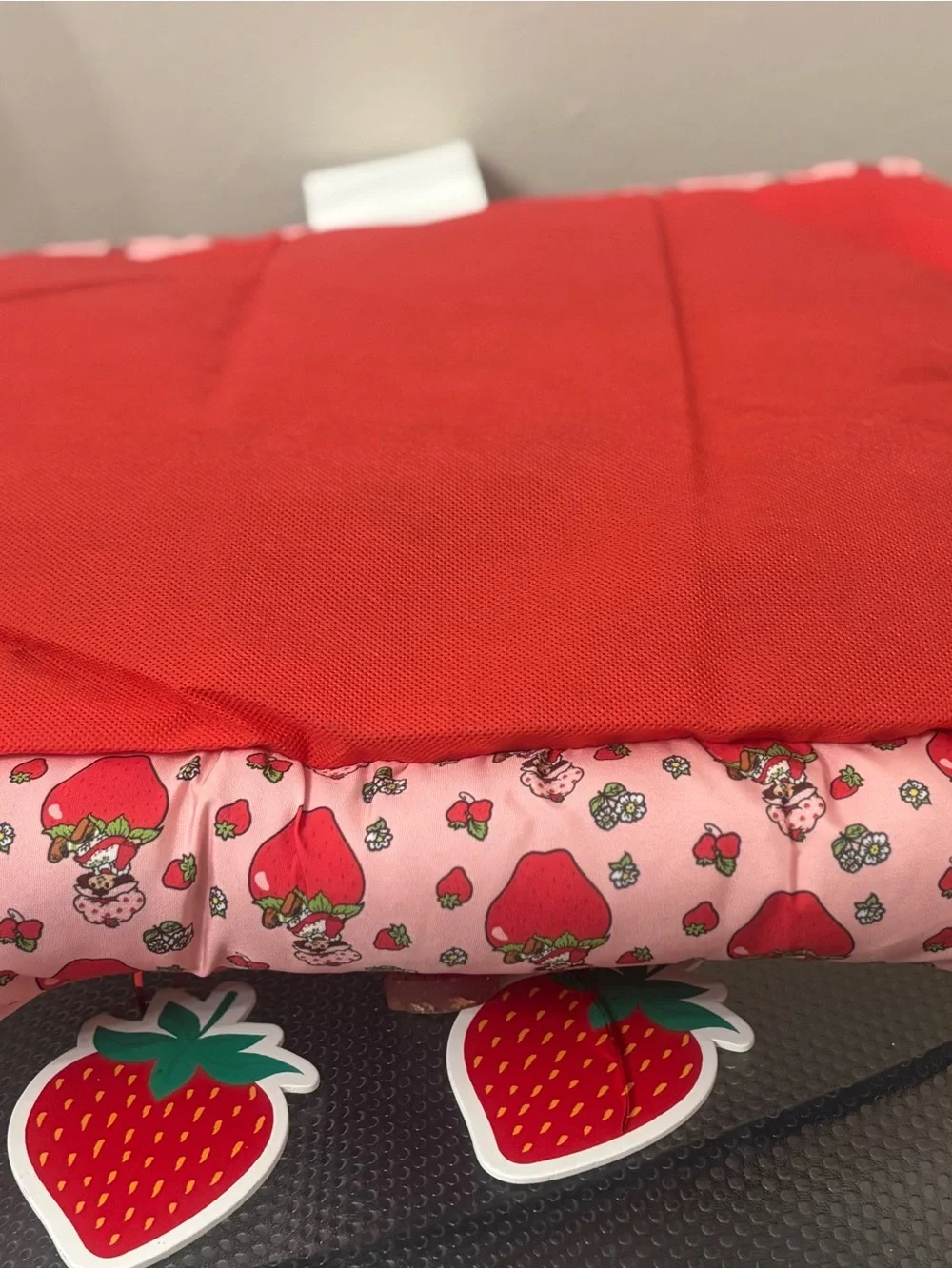 FREE Surprise Gift Included w/purchase. Strawberry Shortcake Small Pet Bed!